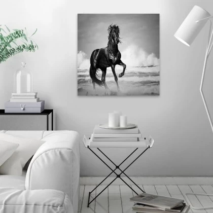 Πίνακας σε καμβά "Black Horse" Megapap ψηφιακής εκτύπωσης 60x60x3εκ. Πίνακας σε καμβά "Black Horse" Megapap ψηφιακής εκτύπωσης 60x60x3εκ.