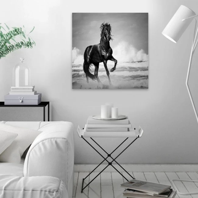 Πίνακας σε καμβά "Black Horse" Megapap ψηφιακής εκτύπωσης 60x60x3εκ. Πίνακας σε καμβά "Black Horse" Megapap ψηφιακής εκτύπωσης 60x60x3εκ.