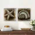 Πίνακες σε καμβά "Starfish - Shell" Megapap 2 τμχ. ψηφιακής εκτύπωσης 103x50x3εκ. Πίνακες σε καμβά "Starfish - Shell" Megapap 2 τμχ. ψηφιακής εκτύπωσης 103x50x3εκ.