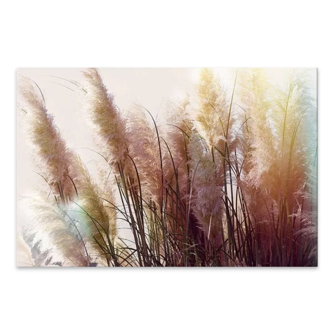 Πίνακας σε καμβά "Soft Pampas" Megapap ψηφιακής εκτύπωσης 125x80x3εκ. Πίνακας σε καμβά "Soft Pampas" Megapap ψηφιακής εκτύπωσης 125x80x3εκ.