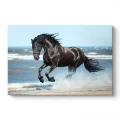 Πίνακας σε καμβά "Black Horse" Megapap ψηφιακής εκτύπωσης 100x70x3εκ. Πίνακας σε καμβά "Black Horse" Megapap ψηφιακής εκτύπωσης 100x70x3εκ.