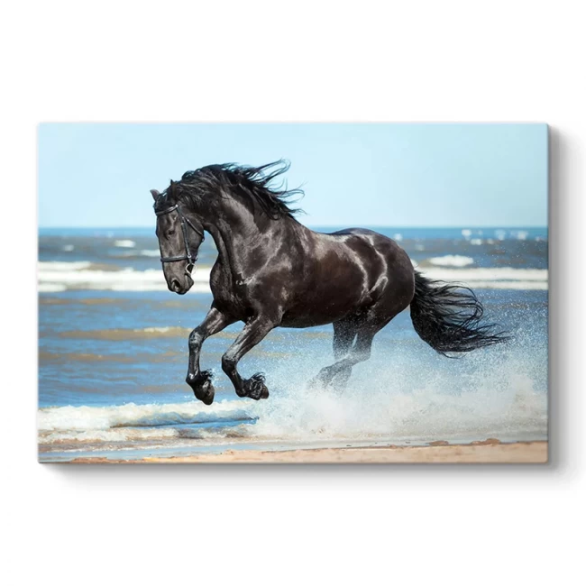 Πίνακας σε καμβά "Black Horse" Megapap ψηφιακής εκτύπωσης 100x70x3εκ. Πίνακας σε καμβά "Black Horse" Megapap ψηφιακής εκτύπωσης 100x70x3εκ.