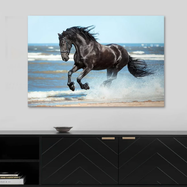 Πίνακας σε καμβά "Black Horse" Megapap ψηφιακής εκτύπωσης 100x70x3εκ. Πίνακας σε καμβά "Black Horse" Megapap ψηφιακής εκτύπωσης 100x70x3εκ.