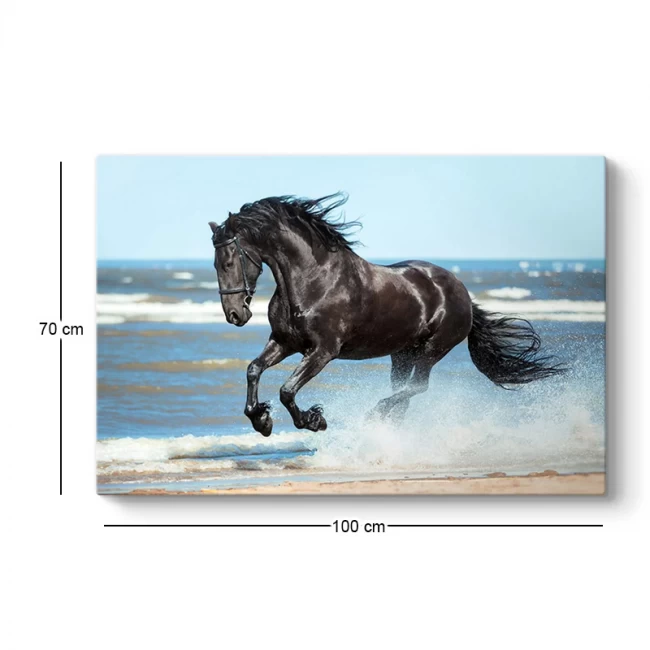 Πίνακας σε καμβά "Black Horse" Megapap ψηφιακής εκτύπωσης 100x70x3εκ. Πίνακας σε καμβά "Black Horse" Megapap ψηφιακής εκτύπωσης 100x70x3εκ.