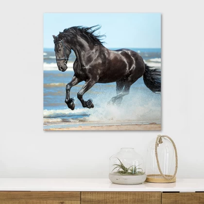 Πίνακας σε καμβά "Black Horse" Megapap ψηφιακής εκτύπωσης 60x60x3εκ. Πίνακας σε καμβά "Black Horse" Megapap ψηφιακής εκτύπωσης 60x60x3εκ.