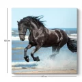 Πίνακας σε καμβά "Black Horse" Megapap ψηφιακής εκτύπωσης 60x60x3εκ. Πίνακας σε καμβά "Black Horse" Megapap ψηφιακής εκτύπωσης 60x60x3εκ.