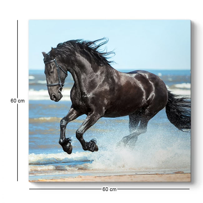 Πίνακας σε καμβά "Black Horse" Megapap ψηφιακής εκτύπωσης 60x60x3εκ. Πίνακας σε καμβά "Black Horse" Megapap ψηφιακής εκτύπωσης 60x60x3εκ.
