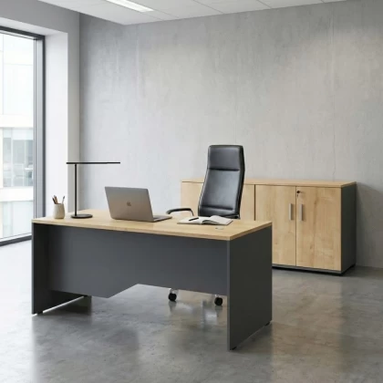 Ντουλάπι γραφείου με κλειδαριά επαγγελματικό Venturo Megapap χρώμα ανθρακί - φυσικό οξιάς 160x40x80εκ.