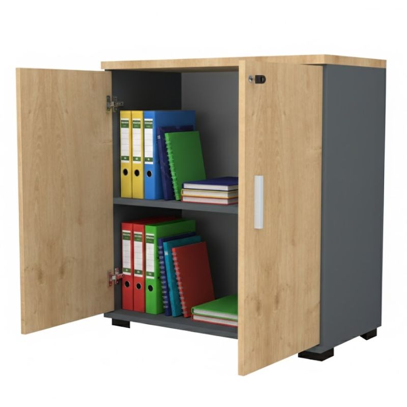 Ντουλάπι γραφείου επαγγελματικό χρώμα ανθρακί - φυσικό οξιάς 2