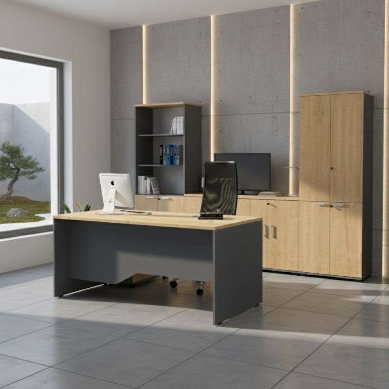 Ντουλάπι γραφείου επαγγελματικό χρώμα ανθρακί - φυσικό οξιάς 7