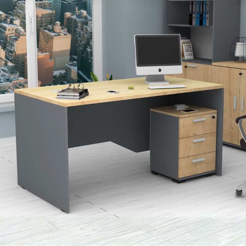 Συρταριέρα γραφείου επαγγελματική χρώμα ανθρακί - φυσικό οξιάς 3