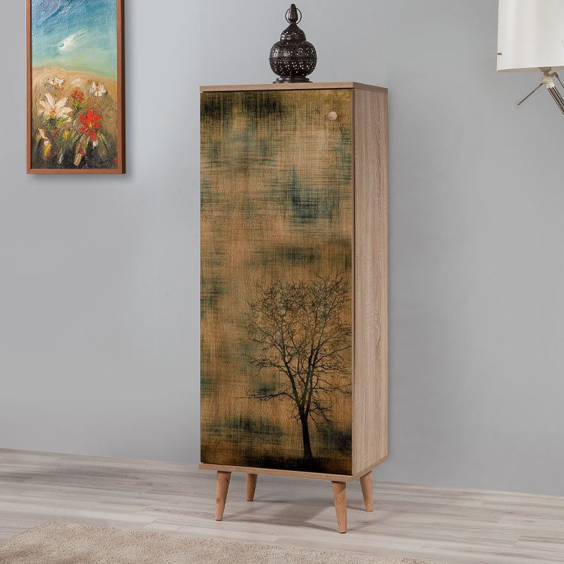 Παπουτσοθήκη - Ντουλάπι χρώμα