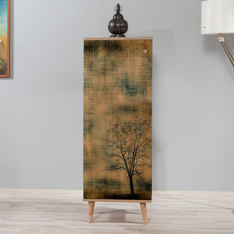 Παπουτσοθήκη - Ντουλάπι χρώμα 3