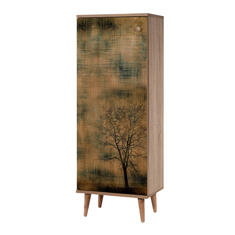 Παπουτσοθήκη - Ντουλάπι χρώμα 4