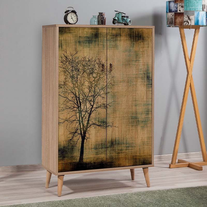 Παπουτσοθήκη - Ντουλάπι χρώμα