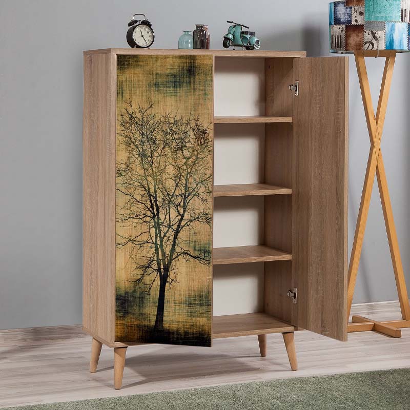 Παπουτσοθήκη - Ντουλάπι χρώμα 2