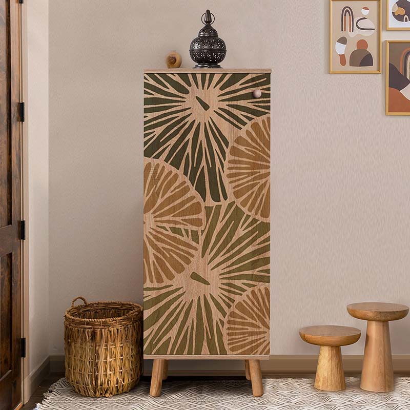 Παπουτσοθήκη - Ντουλάπι χρώμα 3