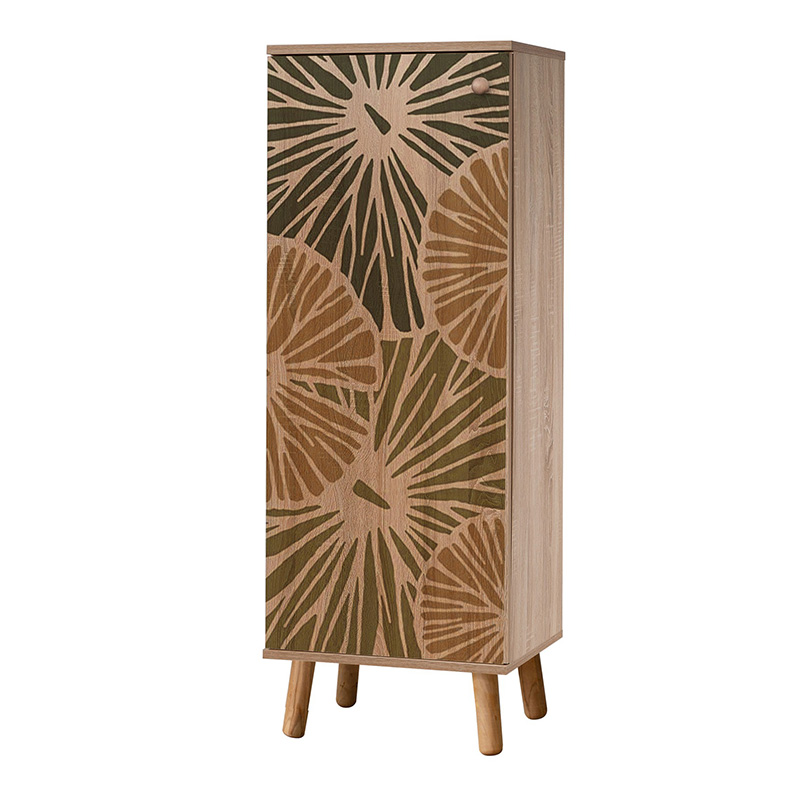 Παπουτσοθήκη - Ντουλάπι χρώμα 4