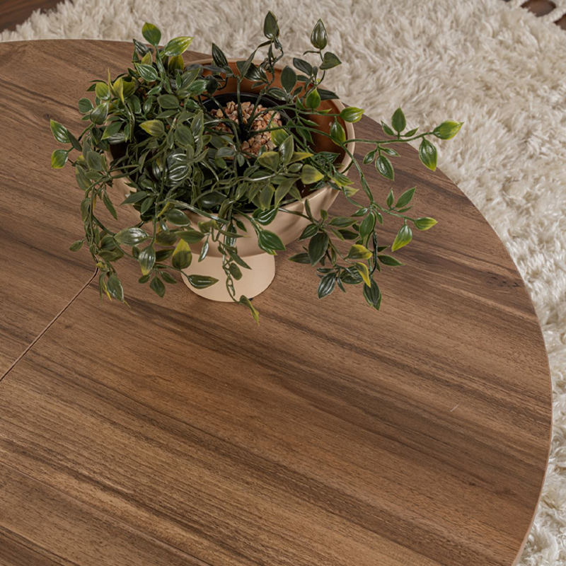 Τραπεζάκι σαλονιού σετ 2 τμχ χρώμα καρυδί Ø90x41εκ. 7